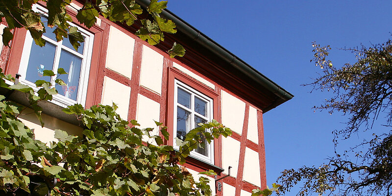 weißes Haus mit rotem Fachwerk oben, umrankt von Weinreben, Bäume rechts und links