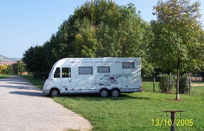 Wohnmobil auf Wiese vor Bäumen