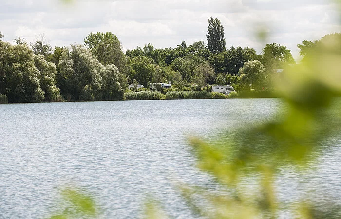 Blick auf dem Main. Am Mainufer Bäume, Büsche und Wohnmobile