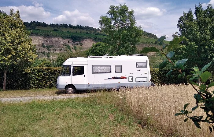 Wiese mit Bäumen und einem Wohnmobil. Im Hintergrund Weinberge