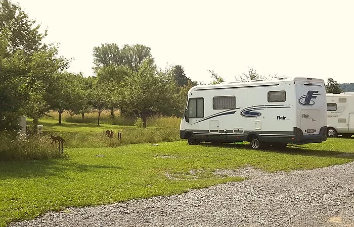 Zwei Wohnmobile im Grünen