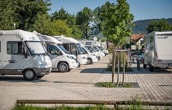 Wohnmobile auf gepflastertem Platz, umgeben von Bäumen