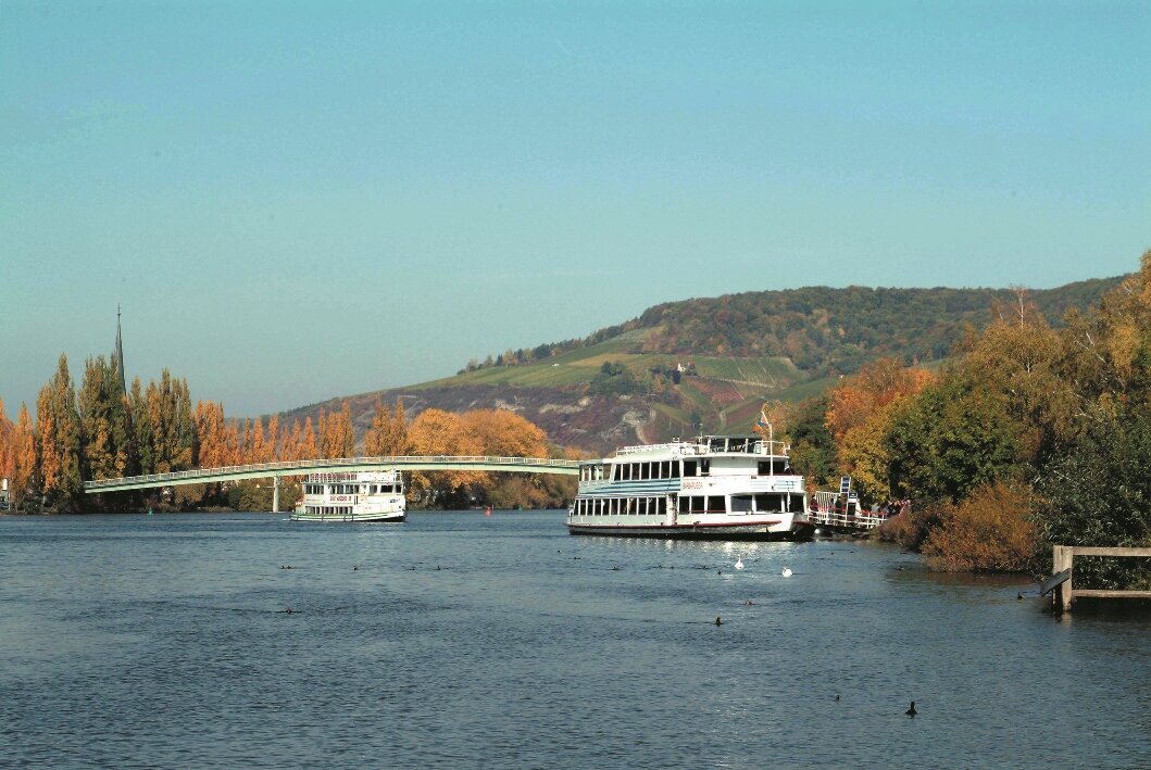 Ausflugsschiffe auf dem Main, Brücke im Hintergrund und Landschaft