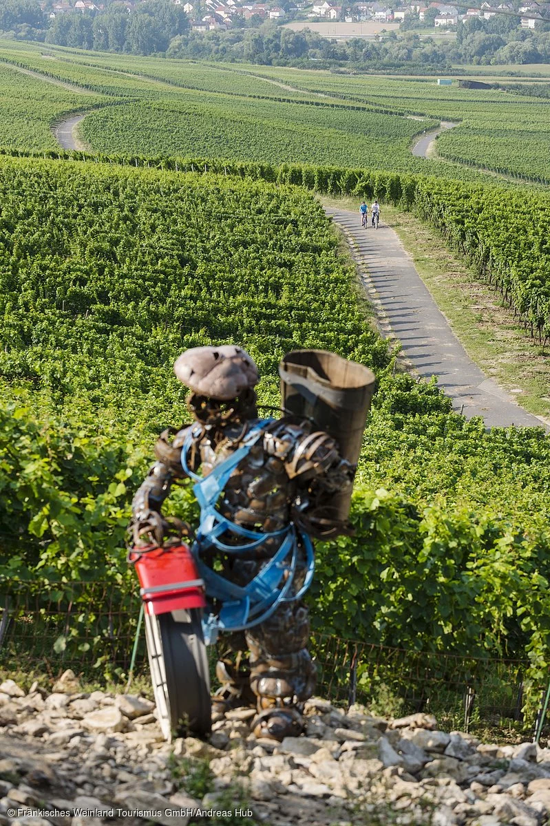 Radeln in Sommerhausen terroir f Radeln in Sommerhausen terroir f