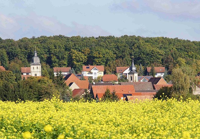 Blick auf Euerbach (Fränkisches Weinland)