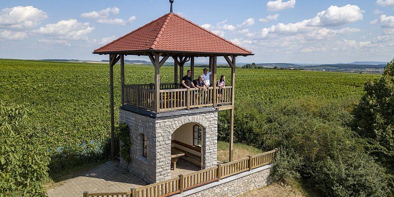 Aussichtsturm auf der Weininsel inmitten von Wein