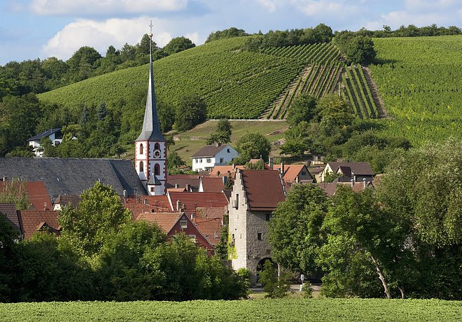 Ortsansicht (Frickenhausen a.Main, Fränkisches Weinland)