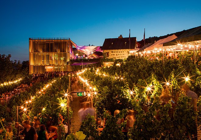 Weinfest am Stein/Foto: Holger Leue