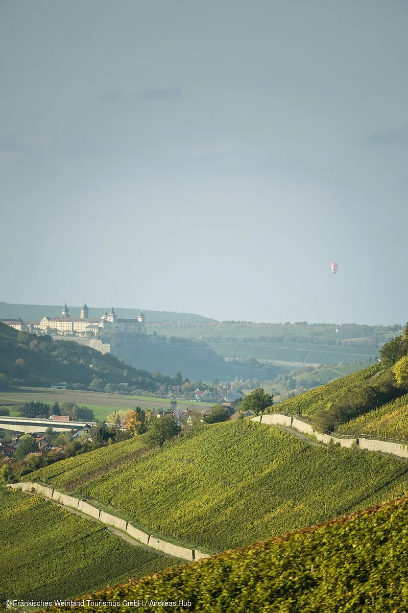 Blick von den Weinbergen zur Festung Marienberg Blick von den Weinbergen zur Festung Marienberg