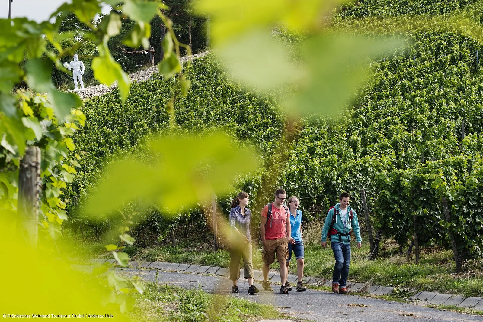 Wandern in den Weinbergen von Sommerhausen Wandern in den Weinbergen von Sommerhausen